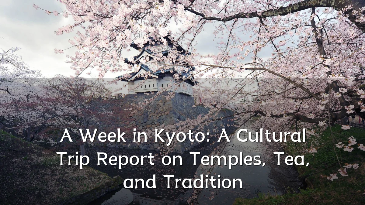 A Week in Kyoto: A Cultural Trip Report on Temples, Tea, and Tradition