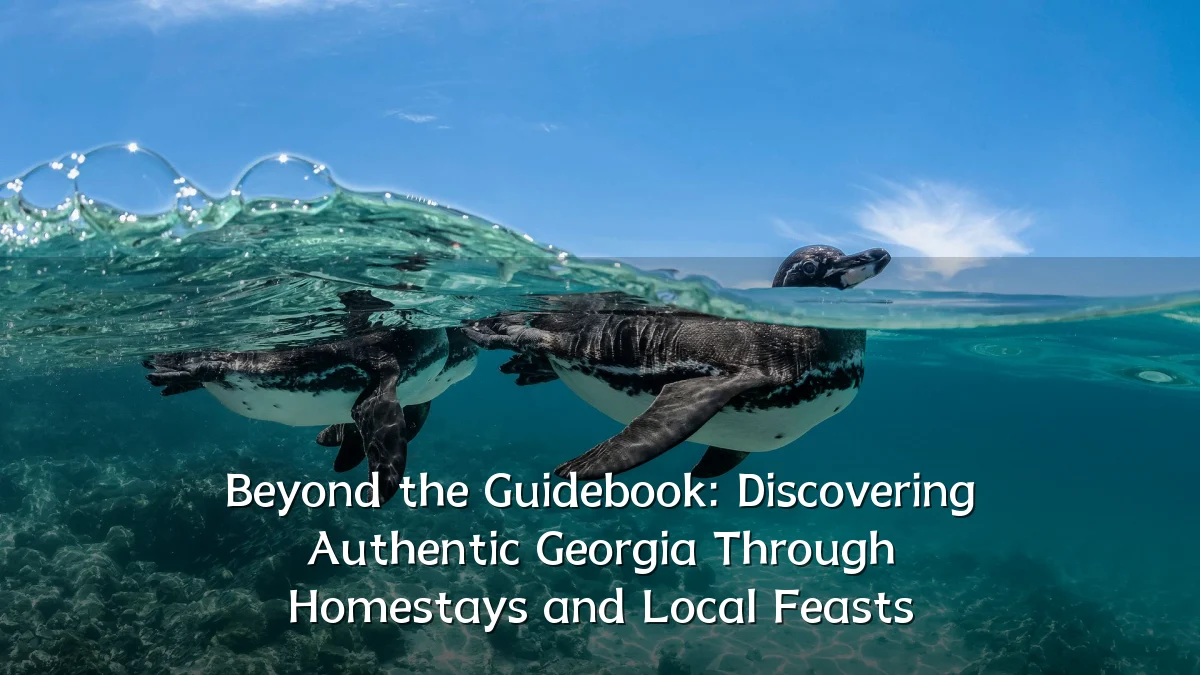 Beyond the Guidebook: Discovering Authentic Georgia Through Homestays and Local Feasts