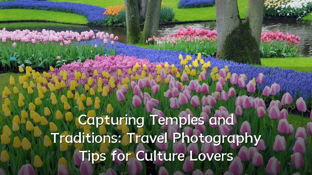 Capturing Temples and Traditions: Travel Photography Tips for Culture Lovers