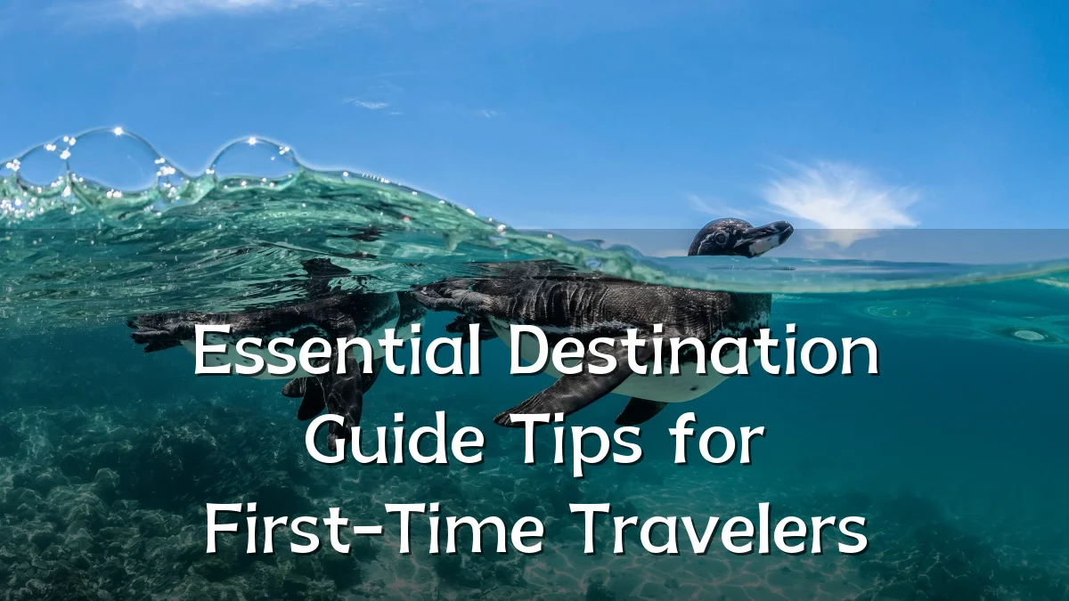Essential Destination Guide Tips for First-Time Travelers