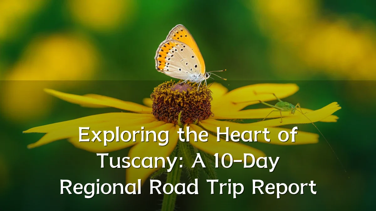 Exploring the Heart of Tuscany: A 10-Day Regional Road Trip Report