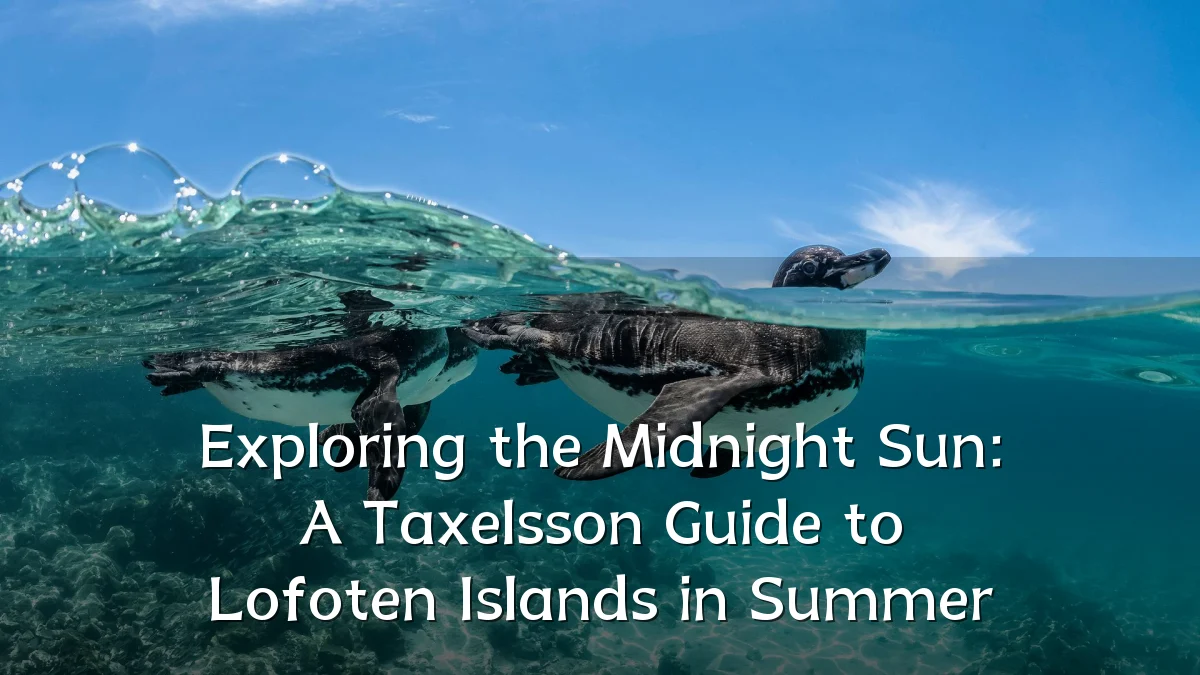Exploring the Midnight Sun: A Taxelsson Guide to Lofoten Islands in Summer