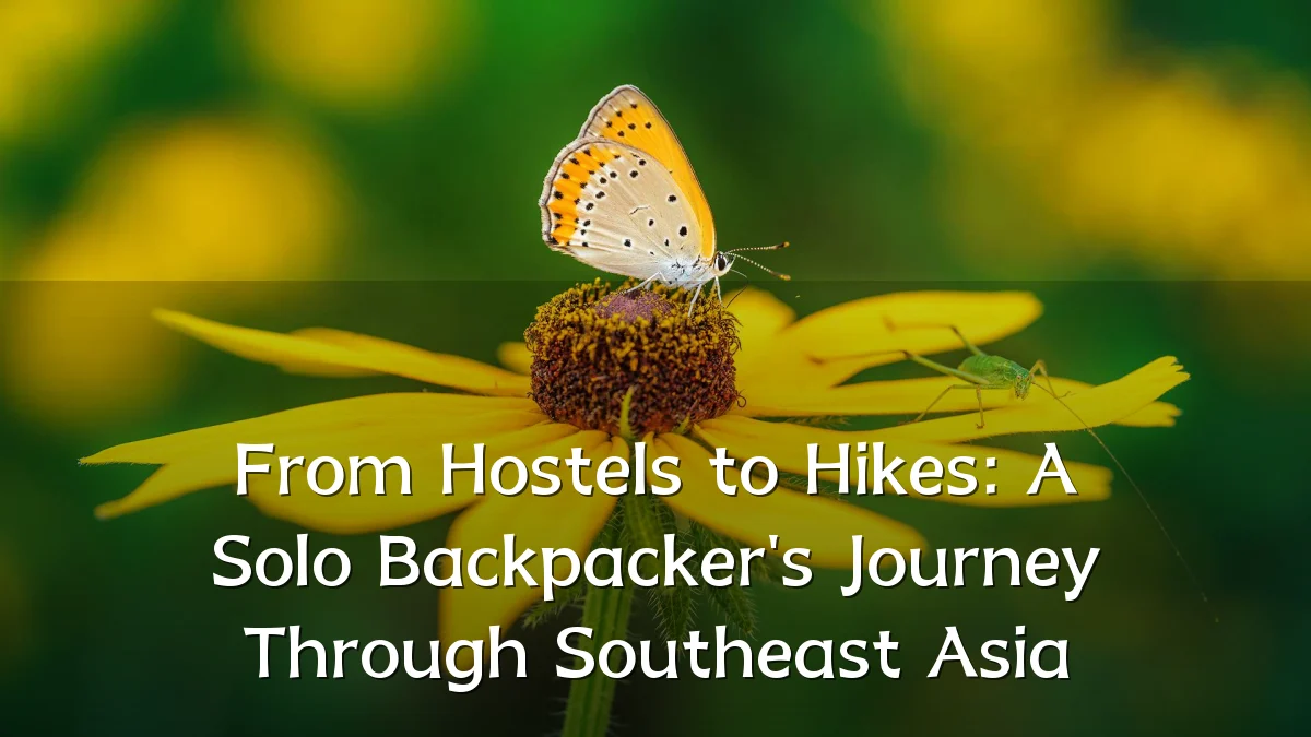 From Hostels to Hikes: A Solo Backpacker's Journey Through Southeast Asia