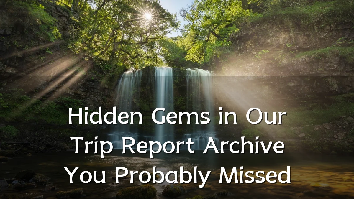 Hidden Gems in Our Trip Report Archive You Probably Missed