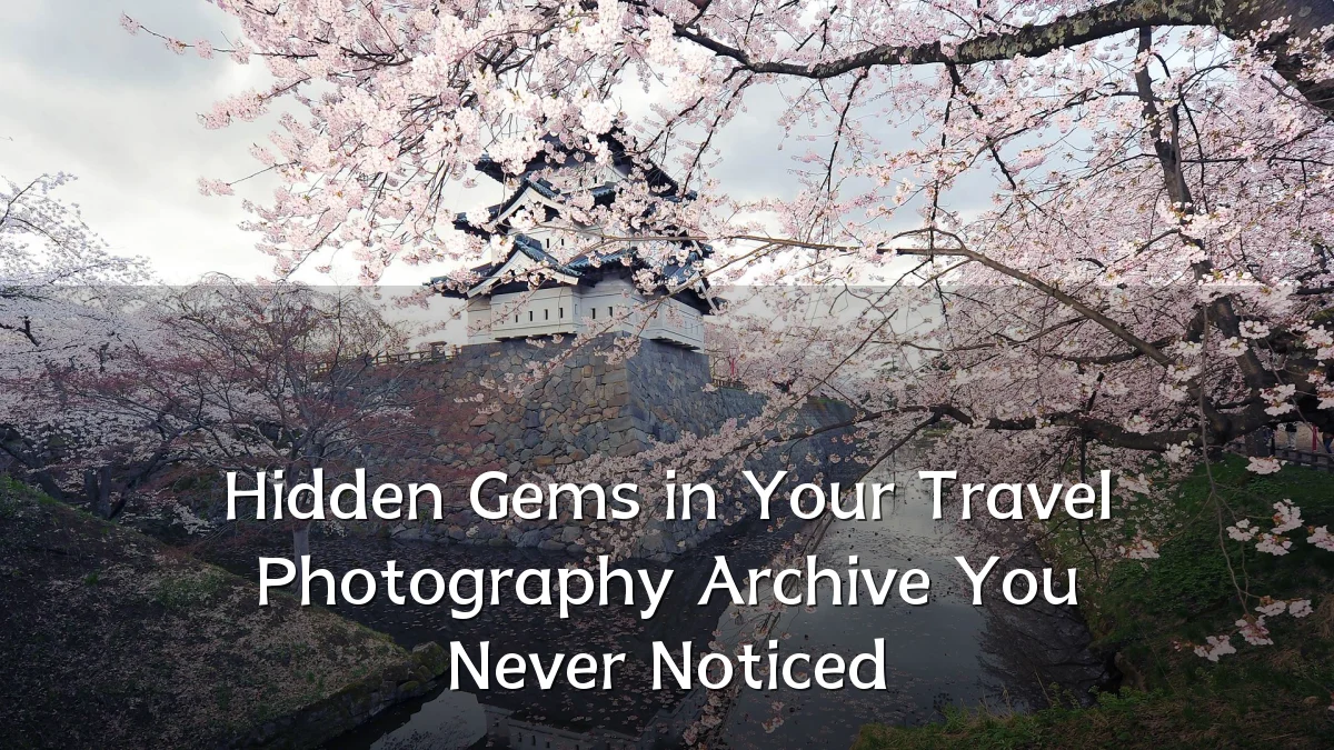 Hidden Gems in Your Travel Photography Archive You Never Noticed