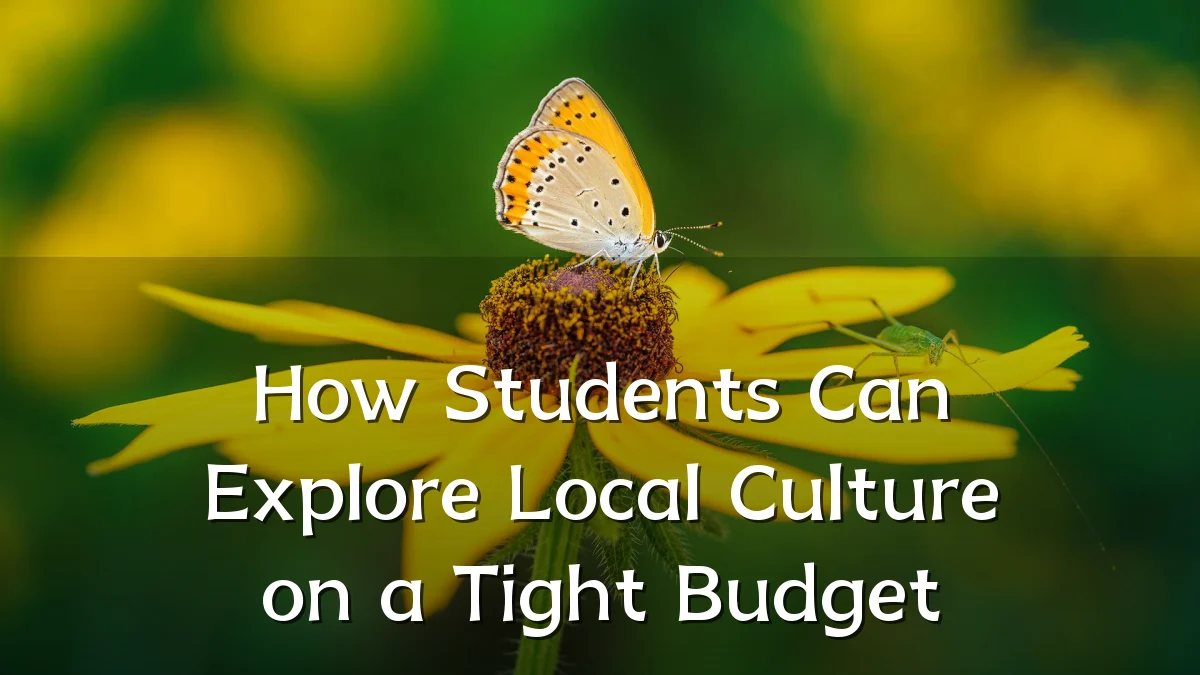 How Students Can Explore Local Culture on a Tight Budget