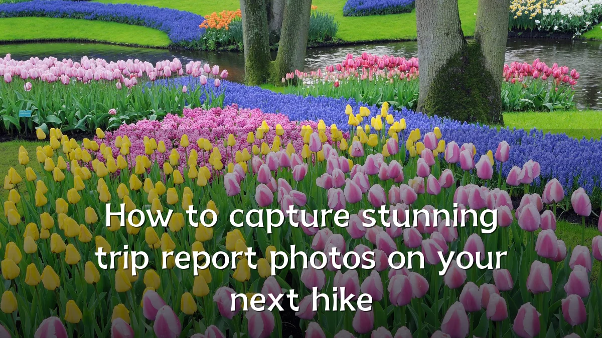 How to capture stunning trip report photos on your next hike