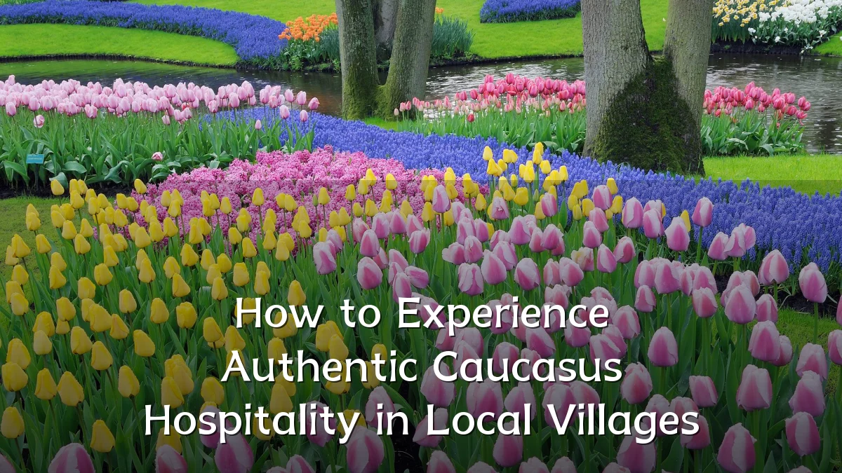 How to Experience Authentic Caucasus Hospitality in Local Villages