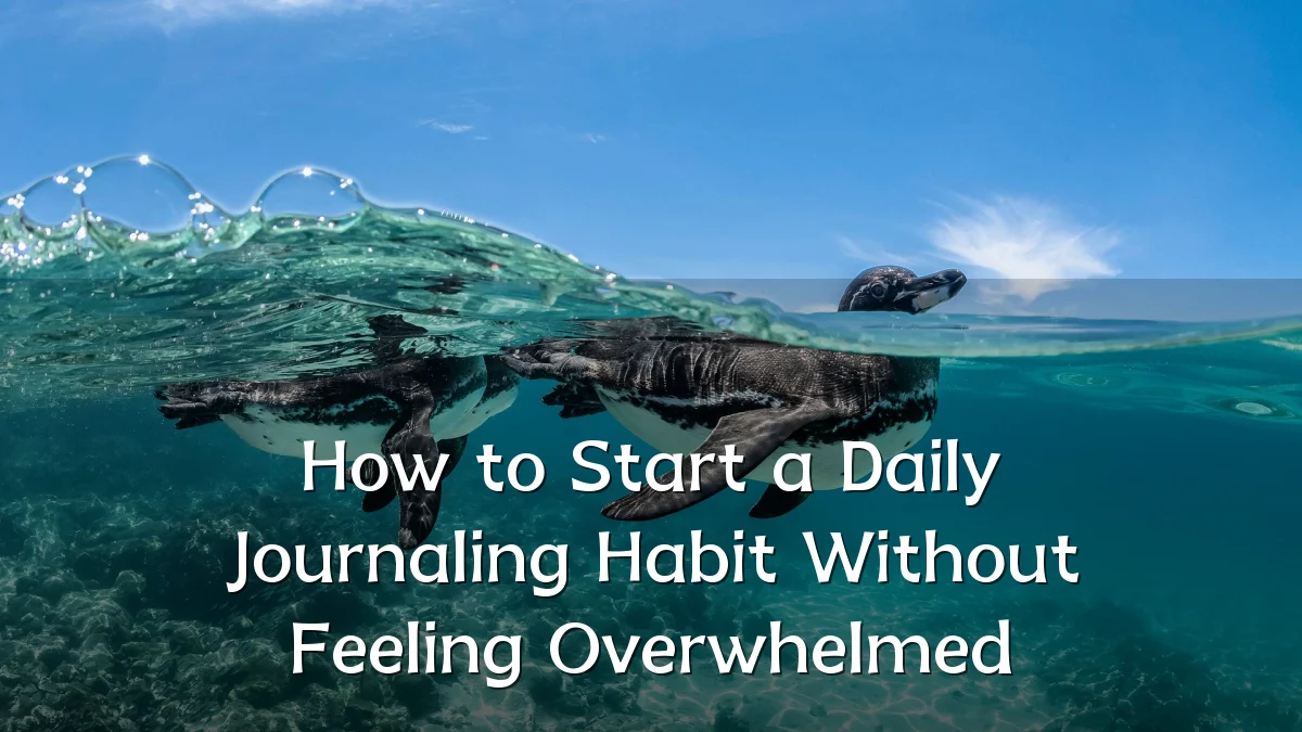 How to Start a Daily Journaling Habit Without Feeling Overwhelmed