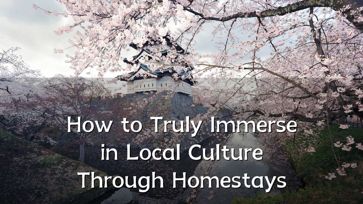 How to Truly Immerse in Local Culture Through Homestays
