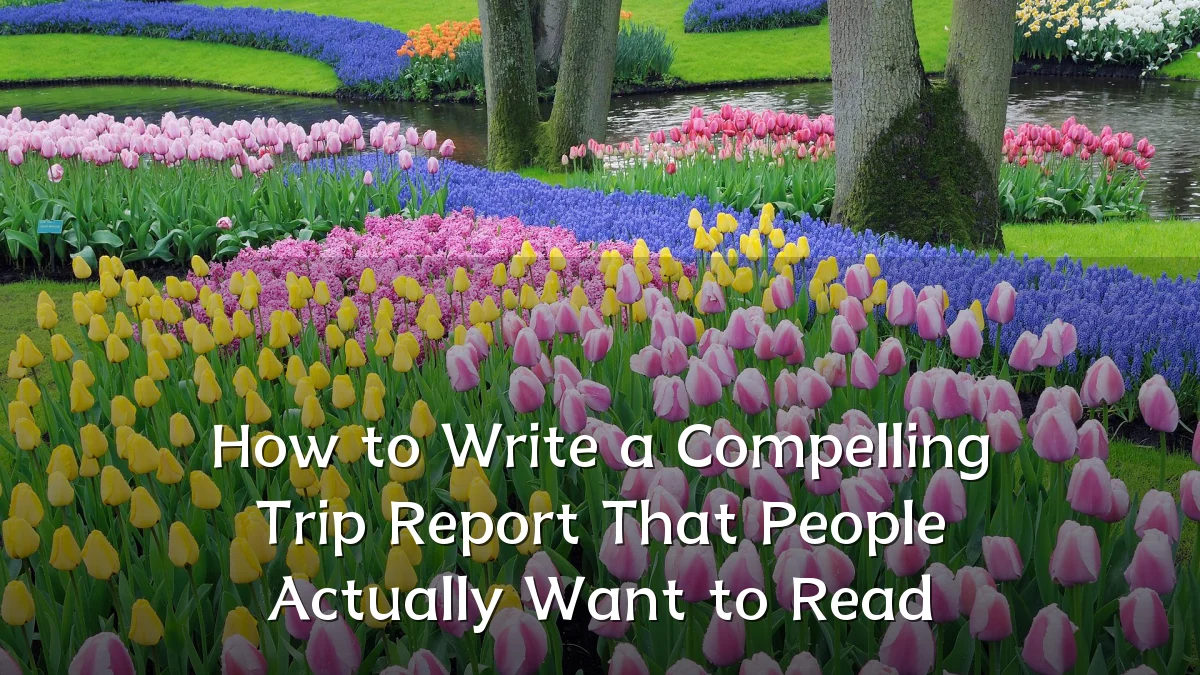 How to Write a Compelling Trip Report That People Actually Want to Read