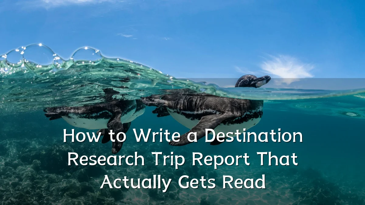 How to Write a Destination Research Trip Report That Actually Gets Read