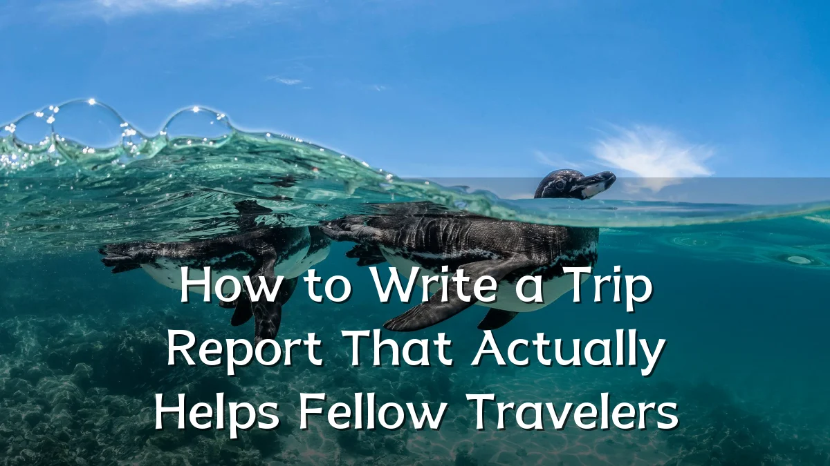 How to Write a Trip Report That Actually Helps Fellow Travelers