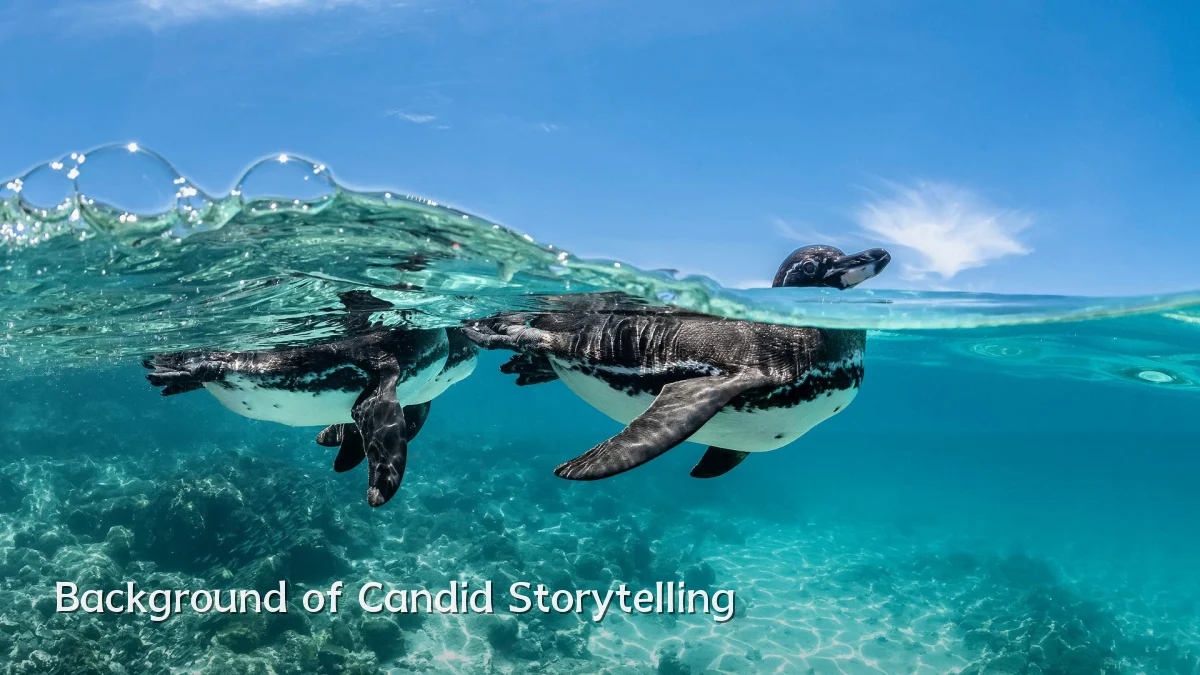 Background of Candid Storytelling