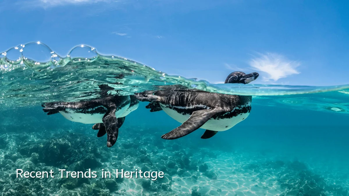 Recent Trends in Heritage