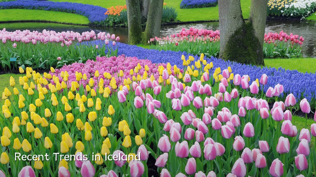 Recent Trends in Iceland