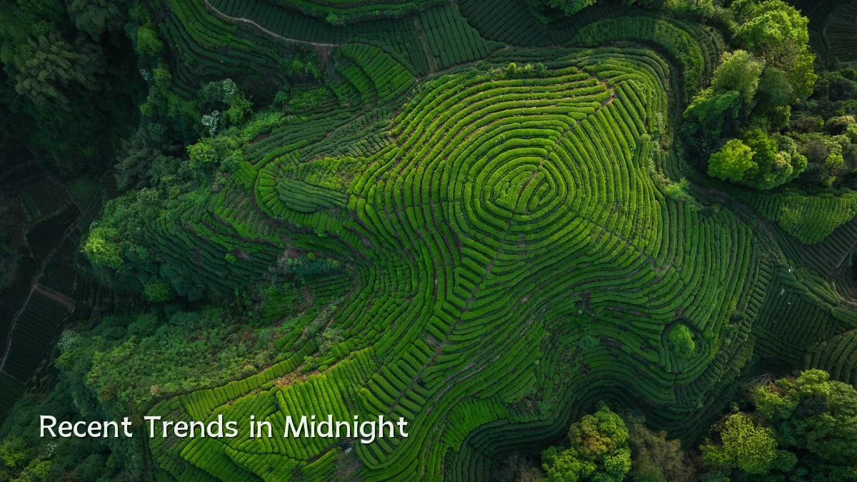 Recent Trends in Midnight