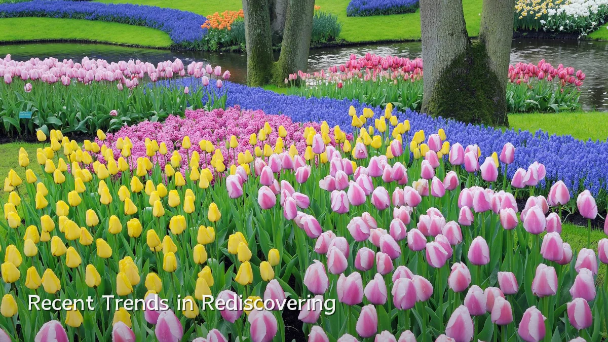 Recent Trends in Rediscovering