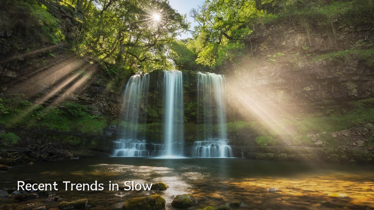Recent Trends in Slow