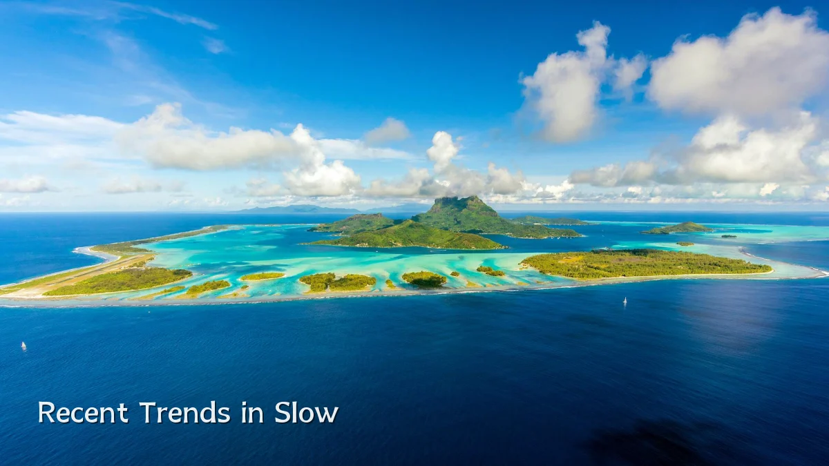 Recent Trends in Slow
