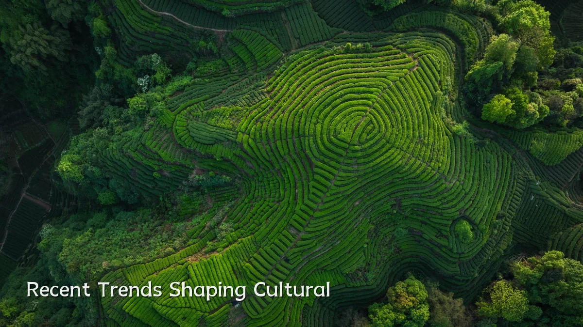 Recent Trends Shaping Cultural