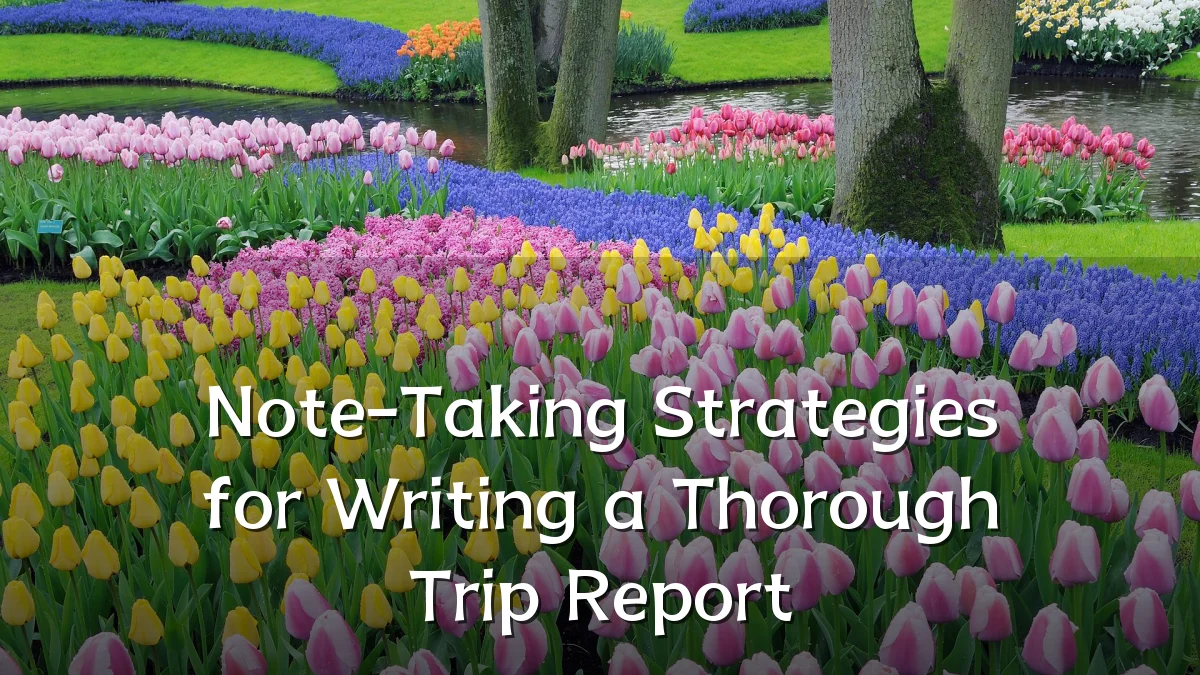 Note-Taking Strategies for Writing a Thorough Trip Report