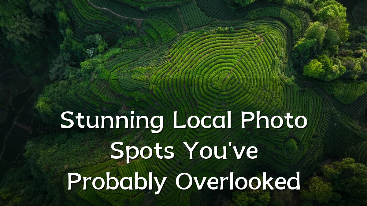 Stunning Local Photo Spots You've Probably Overlooked