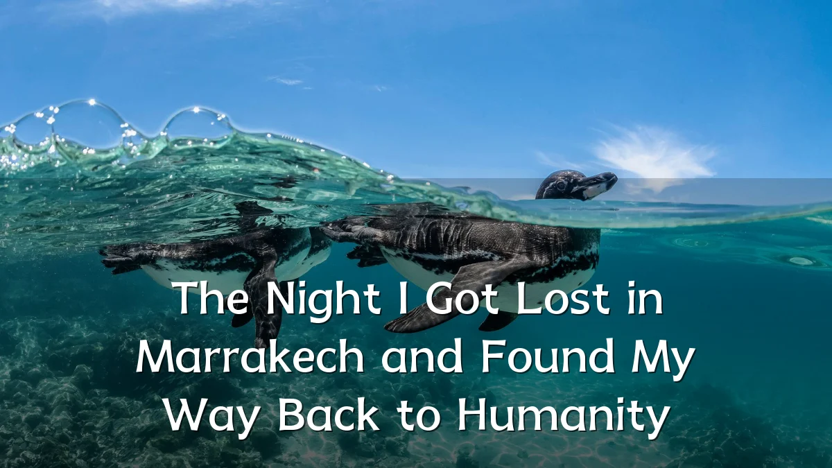The Night I Got Lost in Marrakech and Found My Way Back to Humanity
