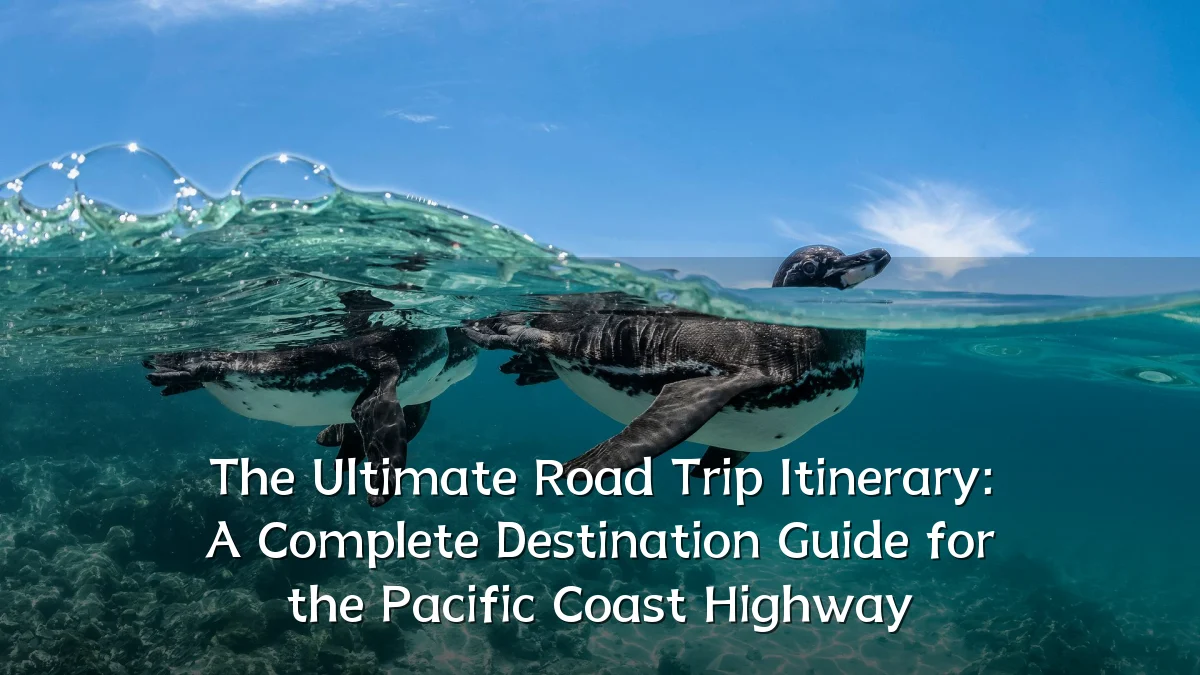 The Ultimate Road Trip Itinerary: A Complete Destination Guide for the Pacific Coast Highway