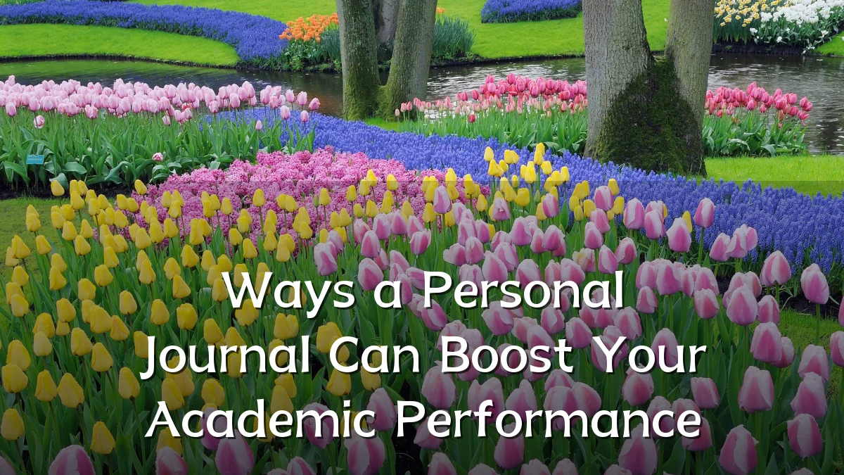 Ways a Personal Journal Can Boost Your Academic Performance