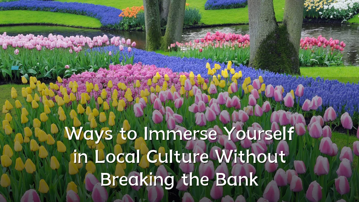 Ways to Immerse Yourself in Local Culture Without Breaking the Bank