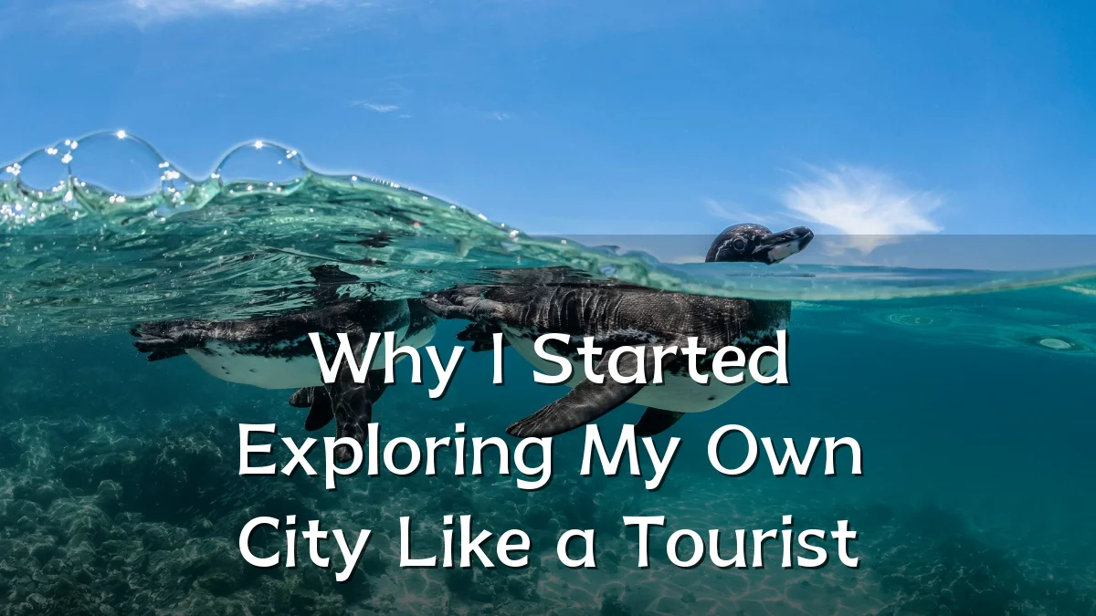 Why I Started Exploring My Own City Like a Tourist